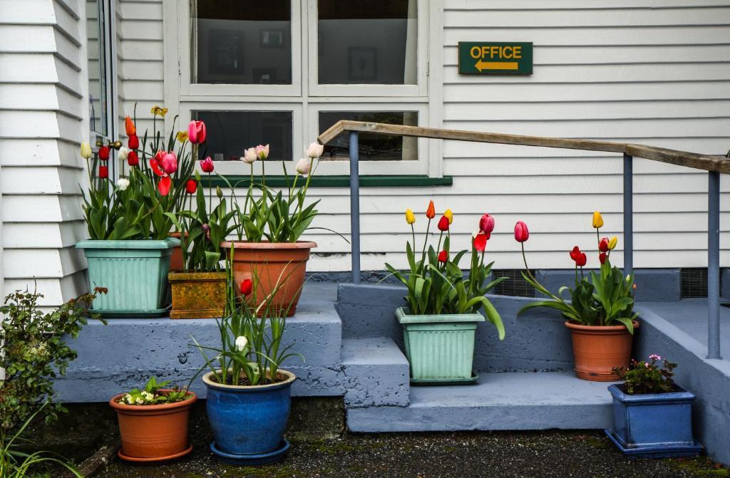 Rainforest Motel Fox Glacier Buitenkant foto